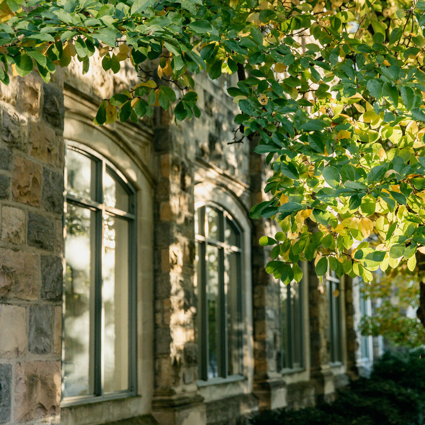 light coming through the trees on a hokie stone wall